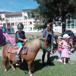 phoca_thumb_m_ponk 122 Fotogalerie